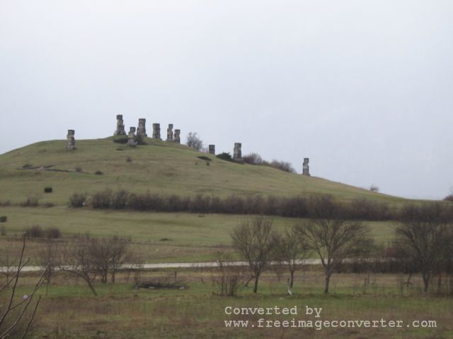 Garavice