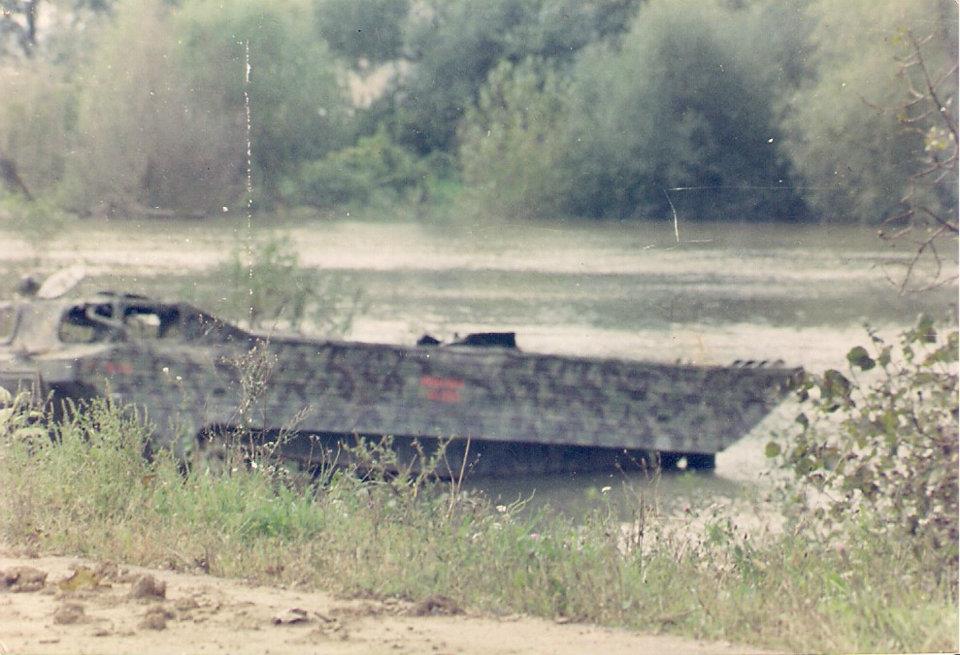 amifibija.jpg