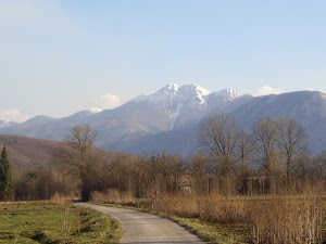 visocica-divoselo.jpg