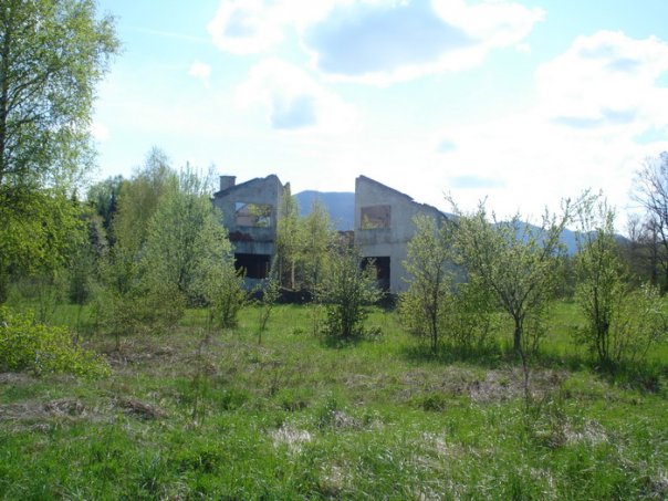 divoselo11.jpg
