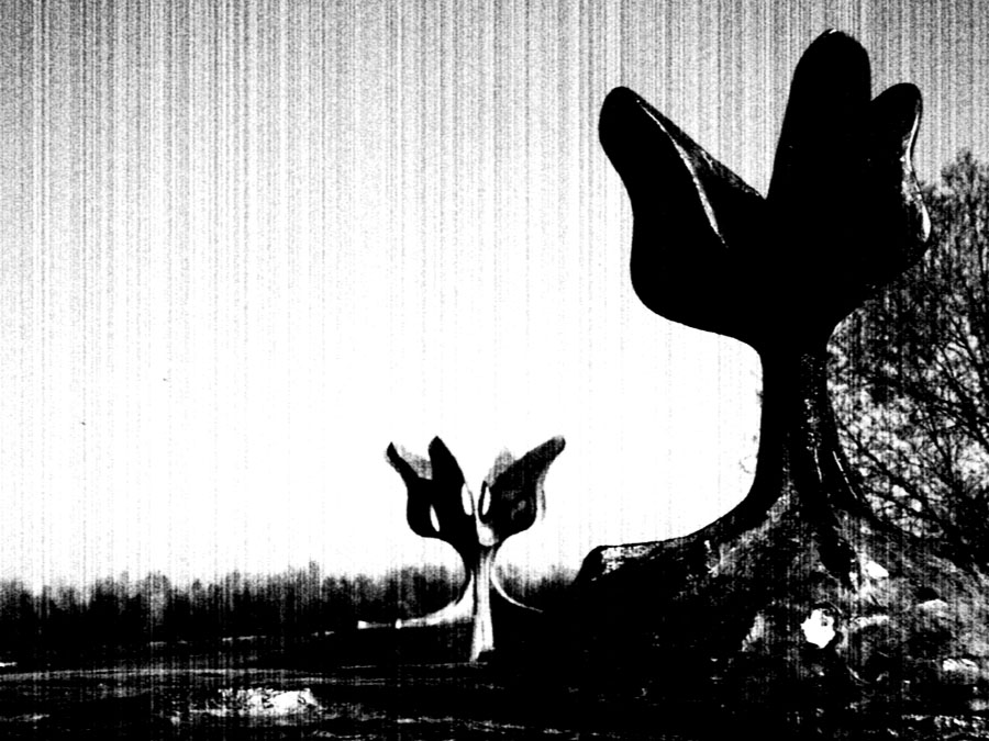 jasenovac.jpg