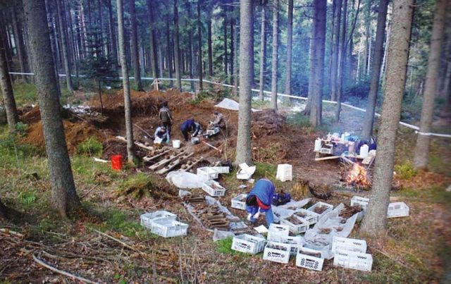 Stratista_se_nalaze_sirom_Slovenije.jpg