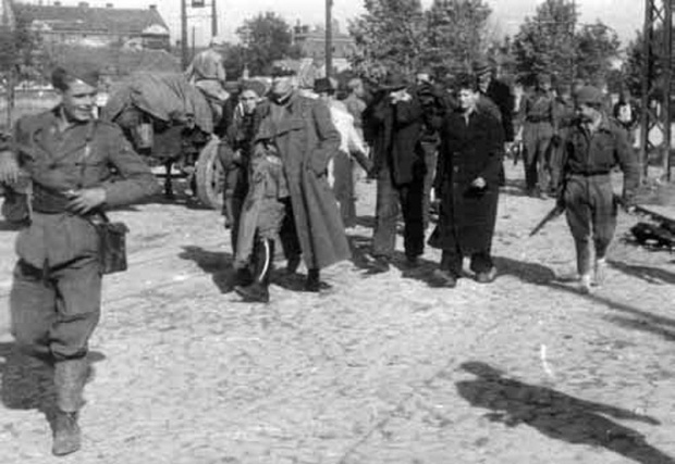 Недићевог официра и квислинге спроводе на стрељање у Београду