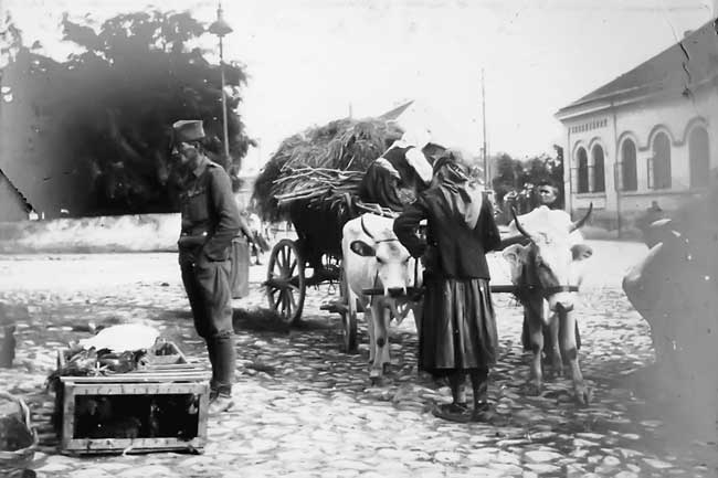 Слике Великог рата: Једна од 98 фотографија из албума леди Пеџет, које до сада нису биле познате јавности
