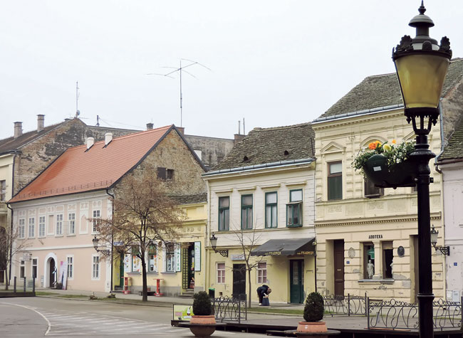 Сремски Карловци (Фото М. Мијушковић)