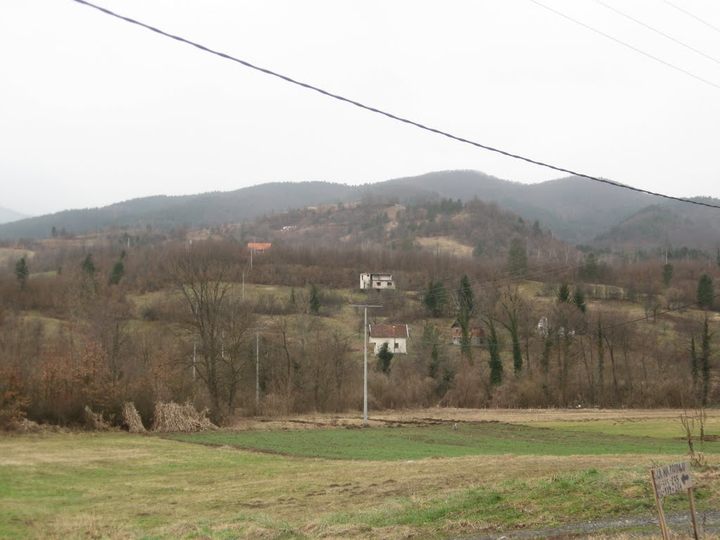 Vozuća