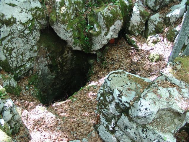 Шаранова јама