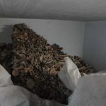 Затечено стање након рата