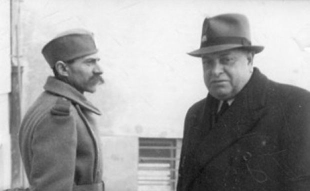 Milan Nedić