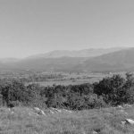 Cetinsko polje