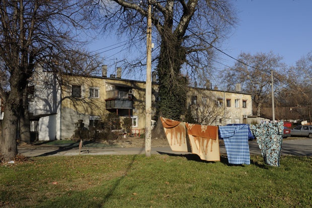 Foto Z. Jovanović