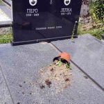 Pravoslavna kapela i mjesno groblje u Osijeku, u opštini Ilidža, bili su ponovo na meti vandala koji su razbili portal na kapeli i oštetili četiri spomenika, rekao je Srni paroh blažujski jerej Darko Danilović.