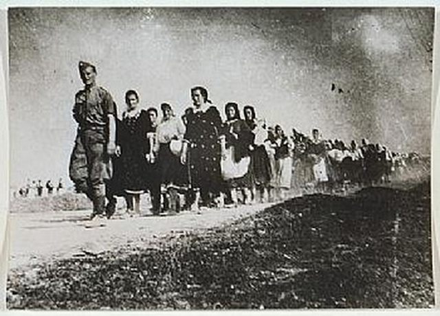 Ustaše sprovode zarobljene Srpkinje
